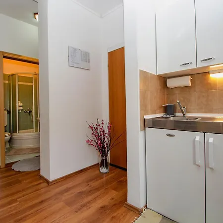 Apartment Iva