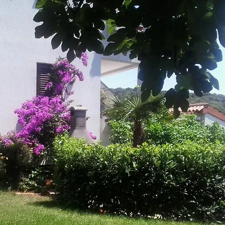 Iva * Pula