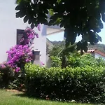 Iva * Pula